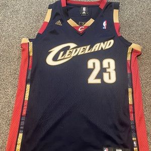 LeBron James Cleveland swingman jersey